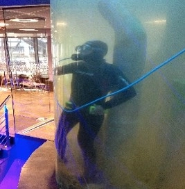 Aquarium Andorra - Imagen 6